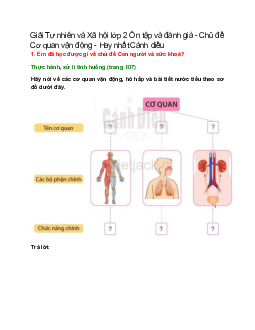 Giải SGK Tự nhiên và Xã hội lớp 2 trang 107, 108 Ôn tập và đánh giá - Chủ đề Cơ quan vận động – Cánh diều