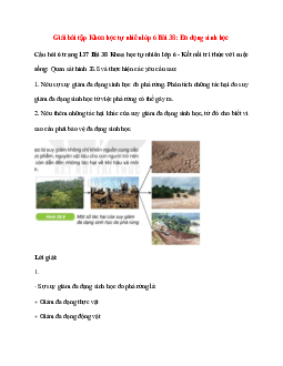 Quan sát hình 38.8 và thực hiện các yêu cầu sau