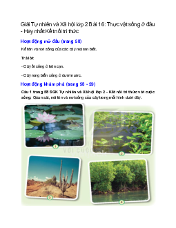 Giải SGK Tự nhiên và Xã hội lớp 2 trang 58, 59, 60, 61 Bài 16: Thực vật sống ở đâu – Kết nối tri thức