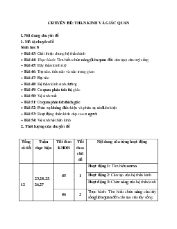 Giáo án Sinh học 8 Bài 43: Giới thiệu chung hệ thần kinh mới nhất - CV5512