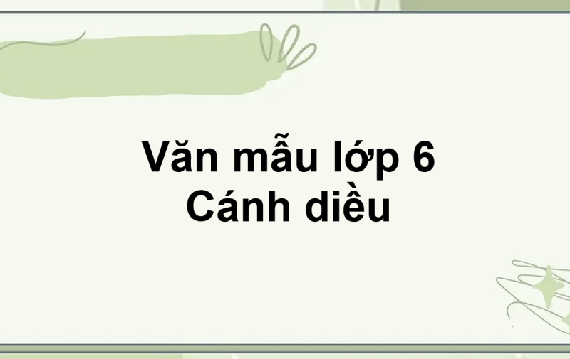 TOP 20 Đoạn văn Ghi lại cảm nghĩ về bài thơ Đêm nay Bác không ngủ 2024 SIÊU HAY