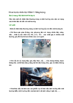 Hãy nêu một số nhiên liệu thường dùng và ảnh hưởng của việc sử dụng các nhiên liệu đó đối với môi trường