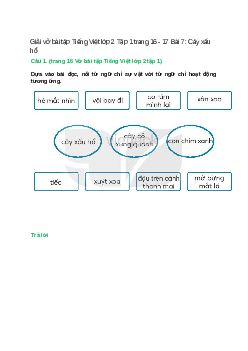 Vở bài tập Tiếng Việt lớp 2 Tập 1 trang 16, 17 Bài 7: Cây xấu hổ – Kết nối tri thức