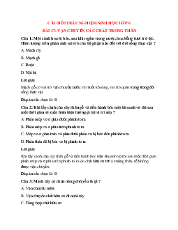 Trắc nghiệm Sinh học 6 Bài 17 có đáp án: Vận chuyển các chất trong thân