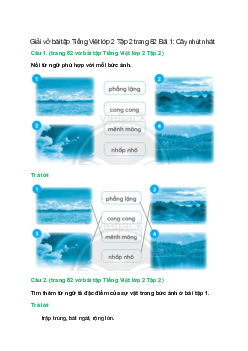 Vở bài tập Tiếng Việt lớp 2 Tập 2 trang 82 Bài 1: Cây nhút nhát – Chân trời sáng tạo