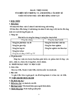 Giáo án Sinh học 9 Bài 45: Thực hành Tìm hiểu môi trường và ảnh hưởng của một số nhân tố sinh thái lên đời sống sinh vật mới nhất - CV5555
