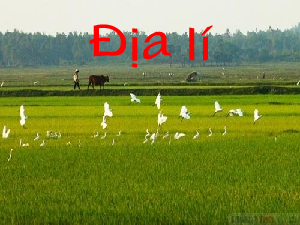 Giáo án Địa lý lớp 4 Bài: 11 Đồng bằng bắc bộ