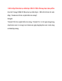 Vitamin nào tốt cho sự phát triển của xương