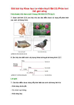 Quan sát hình 22.6, em hãy nêu các đặc điểm được sử dụng để phân biệt các sinh vật