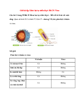 Quan sát hình 29.2 và hình 27.2 (bài 27 – chương VII), hãy phân biệt vi khuẩn và virus