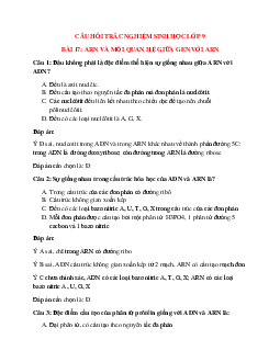 49 câu Trắc nghiệm Sinh học 9 Bài 17 có đáp án 2023: ARN và mối quan hệ giữa gen với ARN