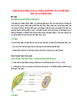 Giải SGK Khoa học tự nhiên lớp 6 Bài 19 (Chân trời sáng tạo): Cơ thể đơn bào và cơ thể đa bào