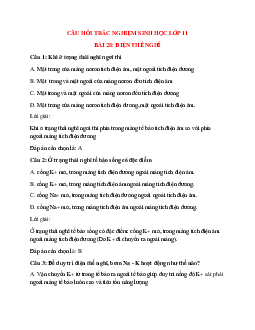 25 câu Trắc nghiệm Sinh học 11 Bài 28 có đáp án 2023: Điện thế nghỉ