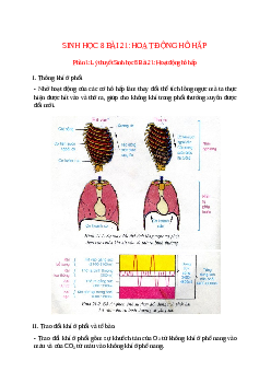 Lý thuyết Sinh học 8 Bài 21 (mới 2023 + 11 câu trắc nghiệm): Hoạt động hô hấp