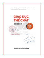 Giáo dục thể chất lớp 11 Bóng rổ Kết nối tri thức pdf