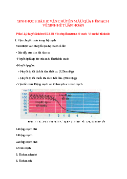 Lý thuyết Sinh học 8 Bài 18 (mới 2023 + 10 câu trắc nghiệm): Vận chuyển máu qua hệ mạch. Vệ sinh hệ tuần hoàn