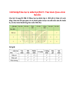 Dựa trên kết quả quan sát các thành phần cấu tạo của mỗi mẫu nấm đã chuẩn bị