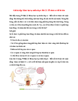 Giải SGK Khoa học tự nhiên 6 Bài 23 (Kết nối tri thức): Tổ chức cơ thể đa bào