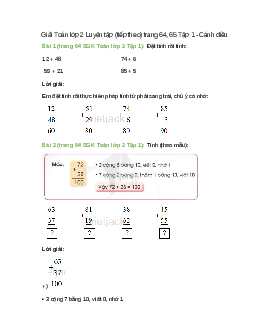 Giải SGK Toán lớp 2 Tập 1 trang 64, 65 Luyện tập (tiếp theo)  – Cánh diều