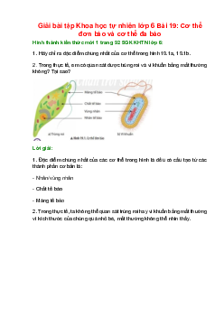 Hãy chỉ ra đặc điểm chung nhất của cơ thể trong hình 19.1a, 19.1b