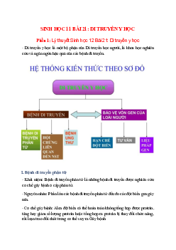 Lý thuyết Sinh học 12 Bài 21 (mới 2023 + 66 câu trắc nghiệm): Di truyền y học