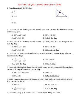 16 Bài tập trắc nghiệm Hệ thức lượng trong tam giác vuông 2023