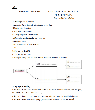 Đề thi Học kì 2 Địa lý lớp 6 có đáp án (6 đề)