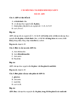 62 câu Trắc nghiệm Sinh học 9 Bài 15 có đáp án 2023: ADN