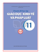 Giáo dục kinh tế và pháp luật lớp 11 Chuyên đề học tập Giáo dục kinh tế và pháp luật Kết nối tri thức pdf