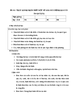GIÁO ÁN CÔNG NGHỆ 9 BÀI 12: THỰC HÀNH NHẬN BIẾT MỘT SỐ LOẠI SÂU BỆNH HẠI CÂY ĂN QUẢ (T3) MỚI NHẤT