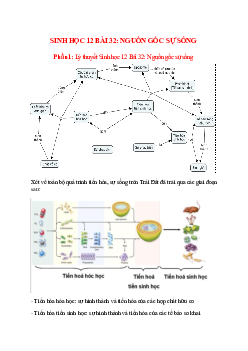 Lý thuyết Sinh học 12 Bài 32 (mới 2023 + 34 câu trắc nghiệm): Nguồn gốc sự sống