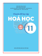 Hóa học lớp 11 Chuyên đề học tập Hóa học Kết nối tri thức pdf