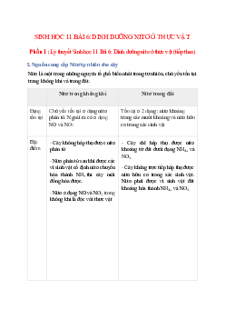 Lý thuyết Sinh học 11 Bài 6 (mới 2023 + 58 câu trắc nghiệm): Dinh dưỡng nitơ ở thực vật (tiếp theo)