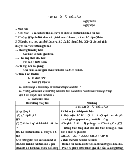 Giáo án Sinh học 10 Bài 16: Hô hấp tế bào mới nhất – CV5512