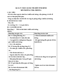 Giáo án Sinh học 9 Bài 56-57: Thực hành Tìm hiểu tình hình môi trường ở địa phương mới nhất - CV5512
