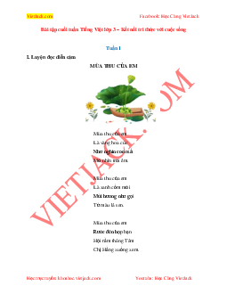 Bài tập cuối tuần Tiếng Việt lớp 3 Kết nối tri thức tuần 1