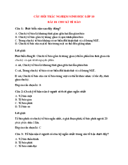 Trắc nghiệm Sinh học 10 Bài 18 có đáp án: Chu kì tế bào