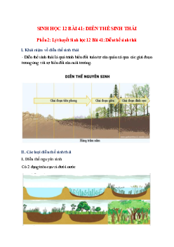 Lý thuyết Sinh học 12 Bài 41 (mới 2023 + 27 câu trắc nghiệm): Diễn thế sinh thái