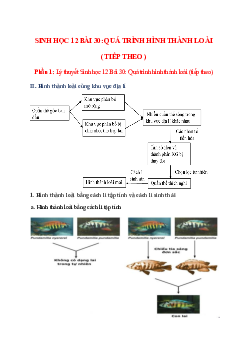 Lý thuyết Sinh học 12 Bài 30 (mới 2023 + 25 câu trắc nghiệm): Quá trình hình thành loài ( tiếp theo )