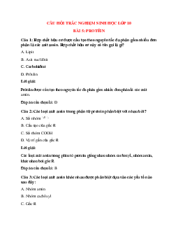 Trắc nghiệm Sinh học 10 Bài 5 có đáp án: Protêin