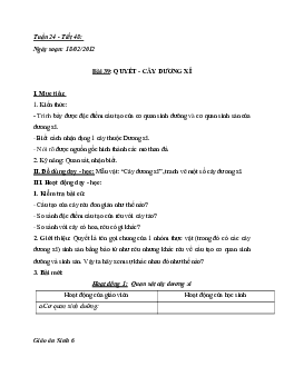 Giáo án Sinh học 6 Bài 39: Quyết - Cây dương xỉ mới nhất - CV5512