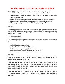 Sinh học 12 Ôn tập chương 1: Cơ chế di chuyền và biến dị