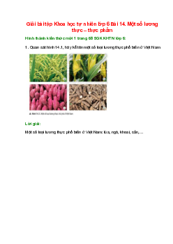 Quan sát hình 14.1, hãy kể tên một số loại lương thực phổ biến ở Việt Nam