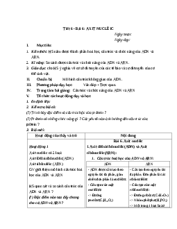 Giáo án Sinh học 10 Bài 6: Axit nuclêic mới nhất – CV5512