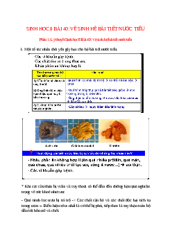 Lý thuyết Sinh học 8 Bài 40 (mới 2023 + 10 câu trắc nghiệm): Vệ sinh hệ bài tiết nước tiểu