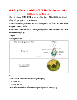 Giải SGK Khoa học tự nhiên 6 Bài 24 (Kết nối tri thức): Thực hành: Quan sát và mô tả cơ thể đơn bào, cơ thể đa bào