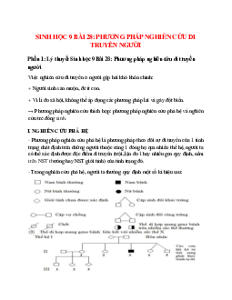Lý thuyết Sinh học 9 Bài 28 (mới 2023 + 8 câu trắc nghiệm): Phương pháp nghiên cứu di truyền người