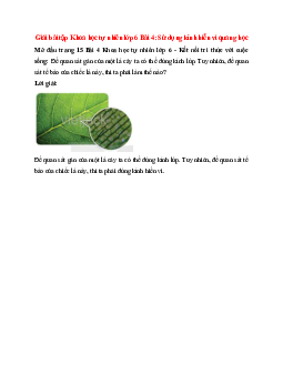 Để quan sát gân của một lá cây ta có thể dùng kính lúp