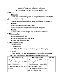 Giáo án Sinh học 7 Bài 50: Đa dạng của lớp Thú và Bộ Ăn sâu bọ, bộ Gặm nhấm, bộ Ăn thịt mới nhất - CV5512