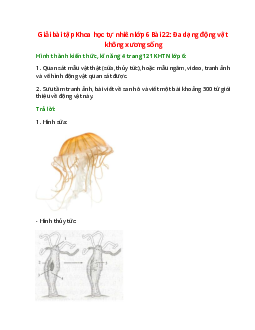 Xem hơn 100 ảnh về hình vẽ san hô daotaonec